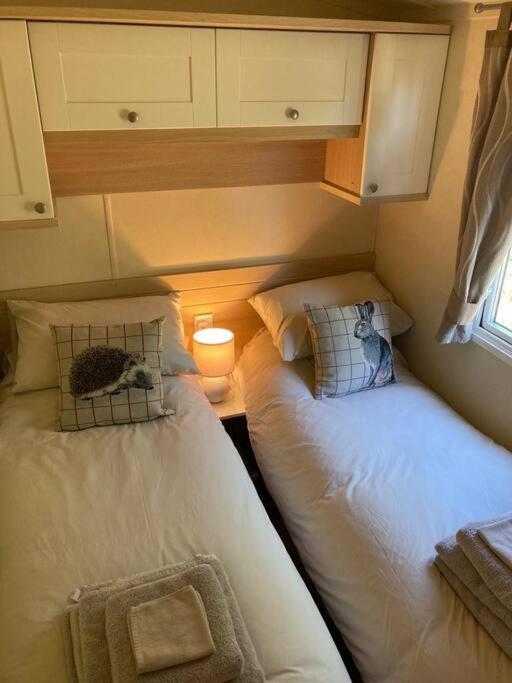 Red Squirrel Holiday Home In The Countryside, 10 Mins To Lligwy Beach Llandyfrydog Bagian luar foto