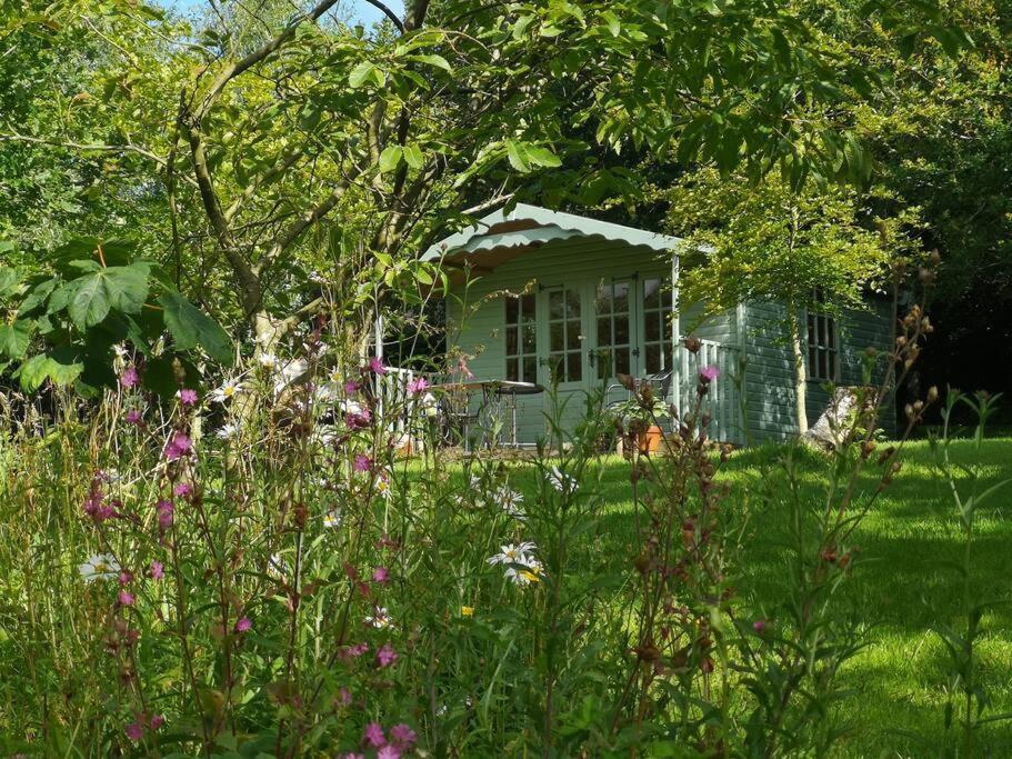 Red Squirrel Holiday Home In The Countryside, 10 Mins To Lligwy Beach Llandyfrydog Bagian luar foto