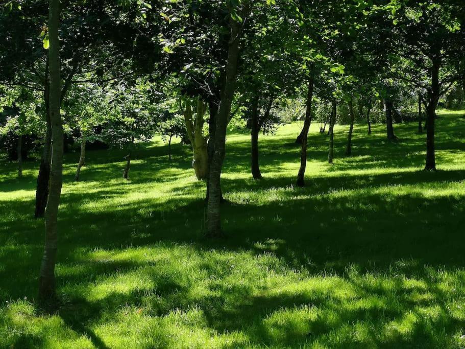 Red Squirrel Holiday Home In The Countryside, 10 Mins To Lligwy Beach Llandyfrydog Bagian luar foto